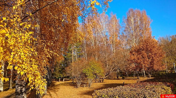 Фото дня. ПРИРОДА