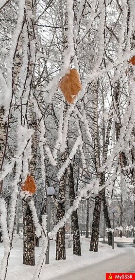 Фото дня. Природа