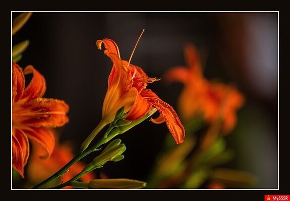 Фото дня. ПРИРОДА