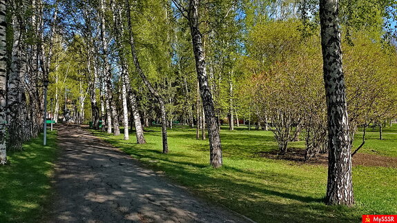 Фото дня. ПРИРОДА