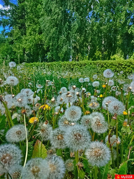 Фото дня. ПРИРОДА