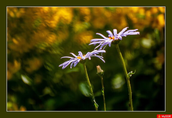 Фото дня. ПРИРОДА