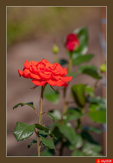 Фото дня. ПРИРОДА