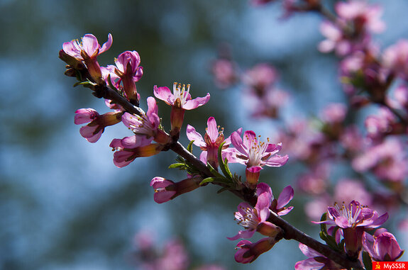 Фото дня. ПРИРОДА