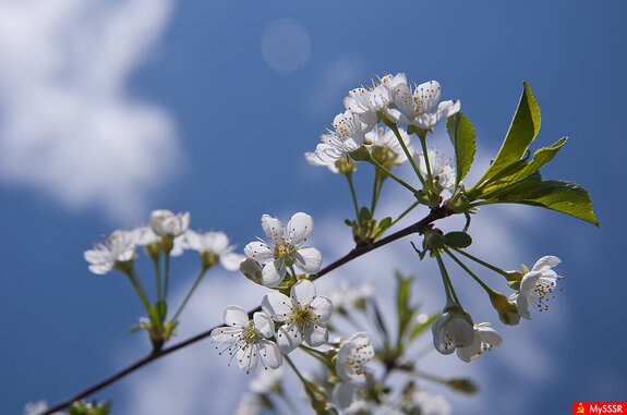 Фото дня. ПРИРОДА