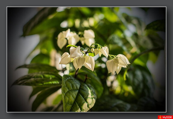 Фото дня. ПРИРОДА