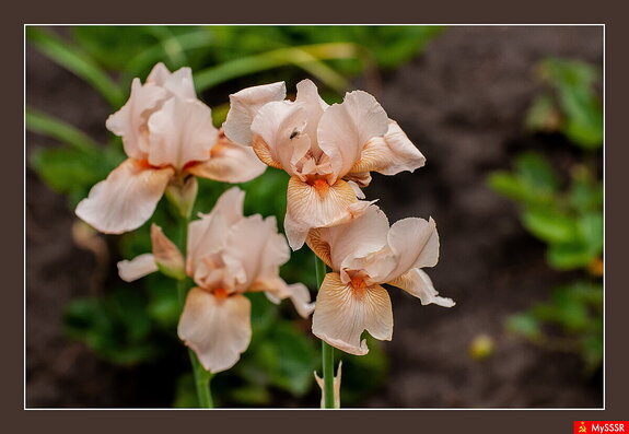 Фото дня. ПРИРОДА