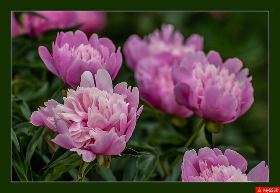Фото дня. ПРИРОДА