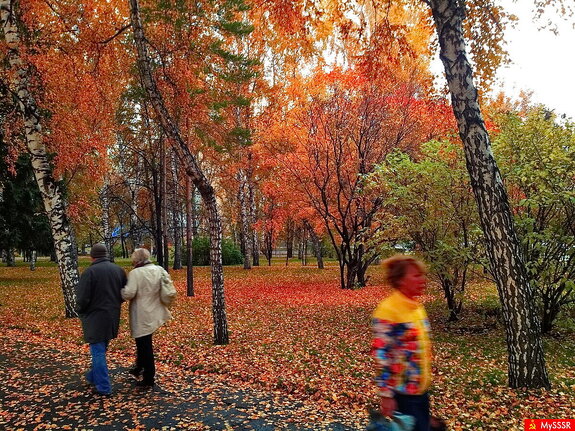 Фото дня. ПРИРОДА